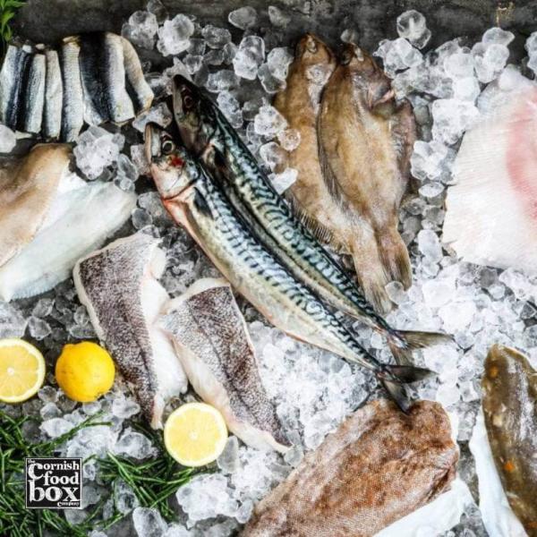 Fresh Fish